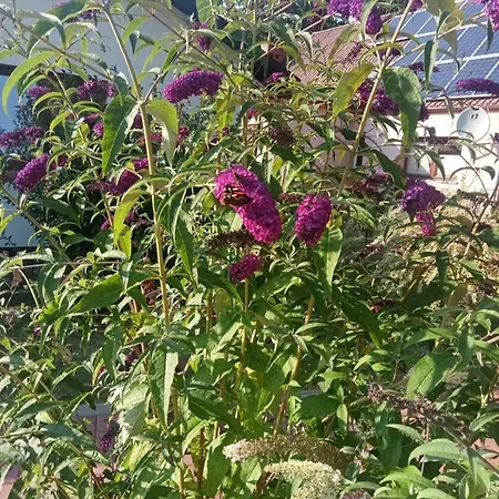 Casa vacanze Zacisze Kolczewo