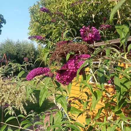 Zacisze Casa vacanze Kolczewo