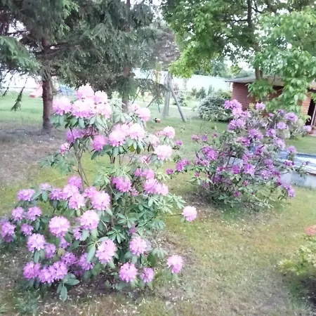 Zacisze Ferienhaus *