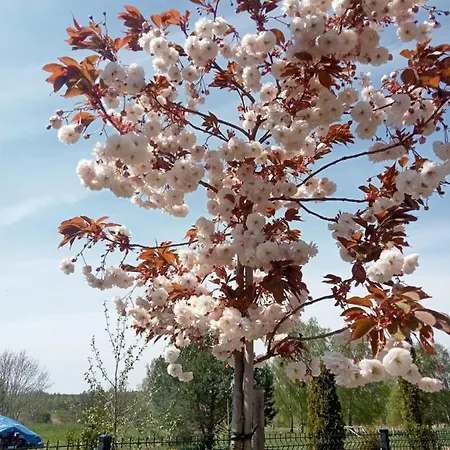 Casa vacanze Zacisze Kolczewo