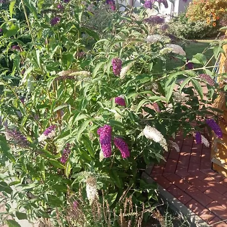 Casa vacanze Zacisze