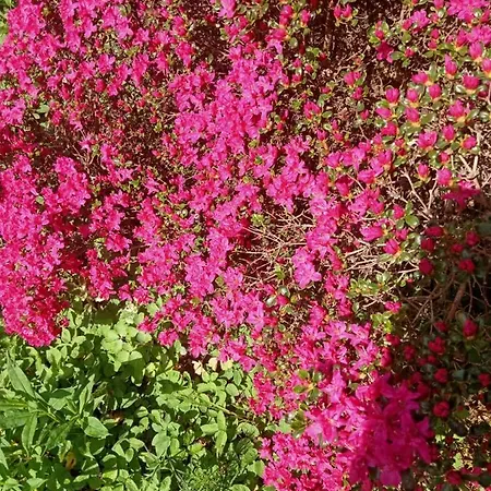 Casa vacanze Zacisze Kolczewo