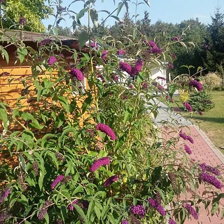 Zacisze Ferienhaus Kołczewo