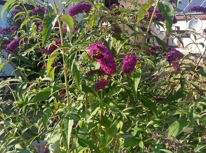 Сasa de vacaciones Zacisze Kołczewo