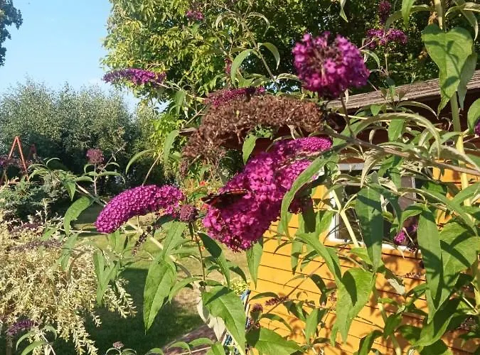 Zacisze Сasa de vacaciones Kołczewo