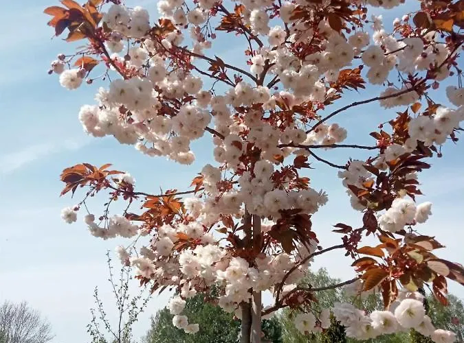 Сasa de vacaciones Zacisze Kołczewo