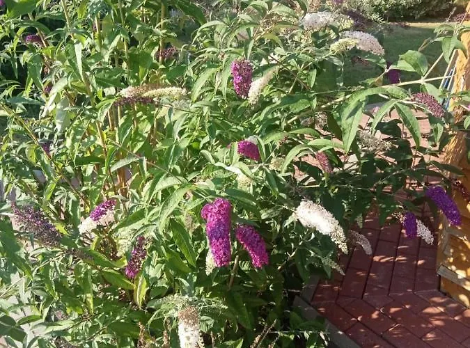 Сasa de vacaciones Zacisze