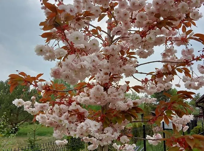 Zacisze Сasa de vacaciones *