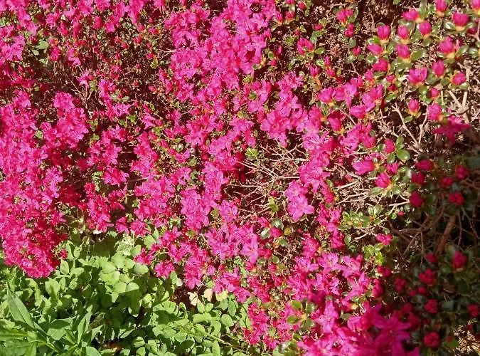 Сasa de vacaciones Zacisze Kołczewo