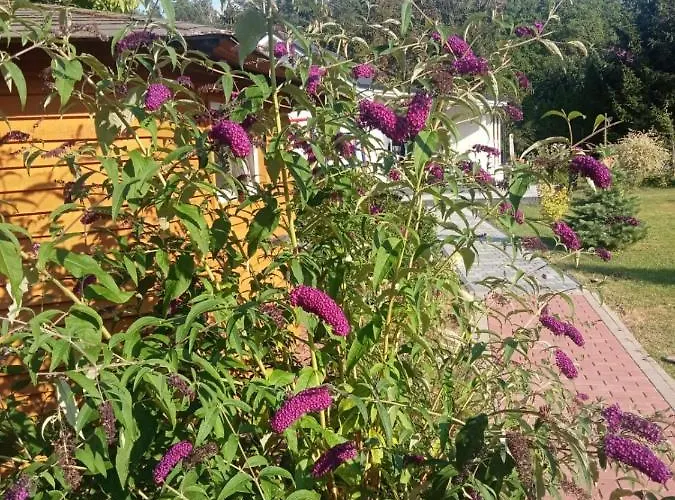 Zacisze Сasa de vacaciones Kołczewo